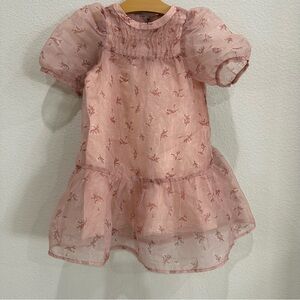 Zara Kids Pink Floral Sheer Organza Dress